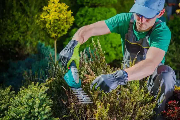 landscaping services South Gull Lake